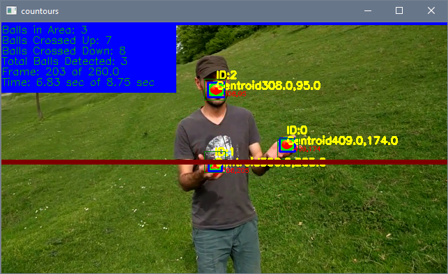 Double Counting Frame 203